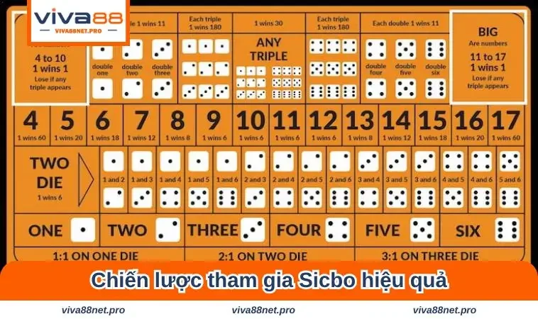 Chiến lược tham gia an toàn