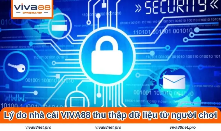 Lý do nhà cái VIVA88 thu thập dữ liệu từ người chơi cá cược