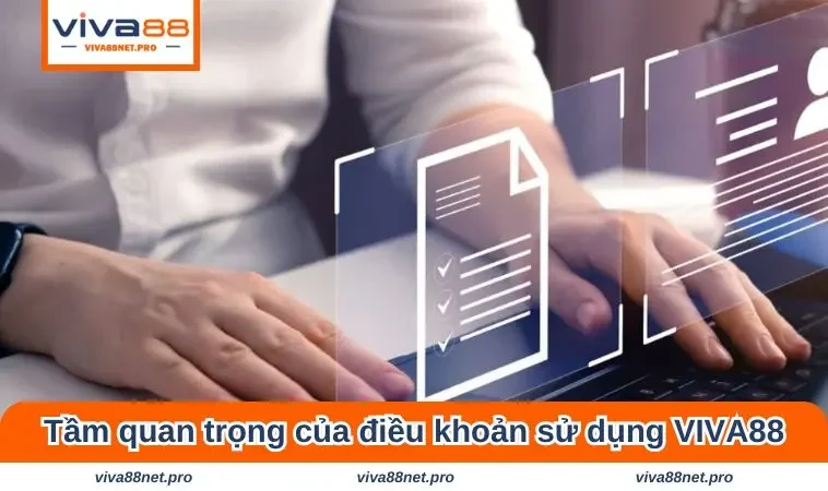 Tầm quan trọng của điều khoản sử dụng VIVA88