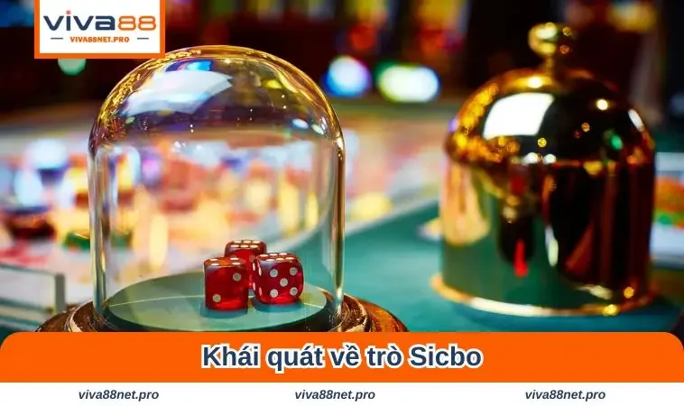 Khái quát về Sicbo