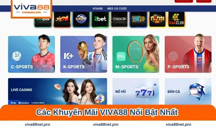 Các khuyến mãi VIVA88 nổi bật nhất