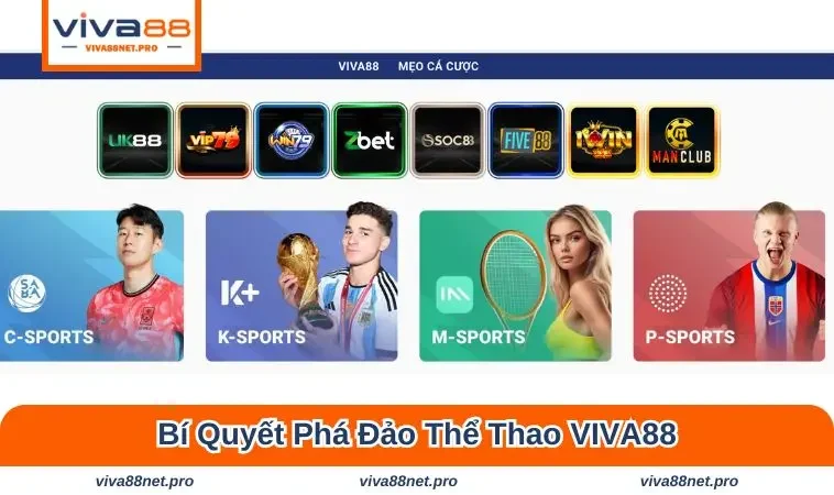 Bí quyết phá đảo thể thao VIVA88